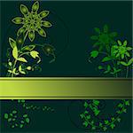 Vector- Floral with vines and flower and copy space for text against a dark background.