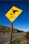 Shot of "Nene Crossing" road sign in Haleakala National Park, Maui, Hawaii.