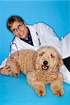 Middle-aged Caucasian male veterinarian with Goldendoodle dog.