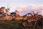 the old cart with broken wheels amongst other machinery in the paddock of the farm