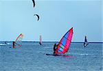 windsurfers and kitesurfers on waves of a gulf