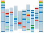 Illustration of a human dna ideal for scholl information on a clear background