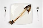 eaten fish with head and tail - symbol of misery