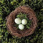 Speckled eggs in nest on grass.