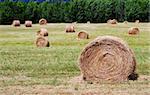 Hay bales in a paddock - countryside scenic.