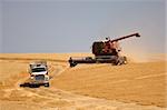 Harvest time in the Palouse, Combine approching a Grain Truck