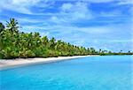 Palms on Beach