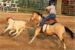 Team roping Ranch Rodeo style