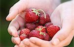 strawberries in a childs hand