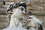 Michelangelo's replica David statue conversing with a pigeon.