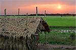 Sunrise in a poor Cambodian village just outside Siem Reap.