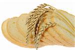 Wheat and bread. A ripe agriculture isolated on a white background