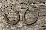 Two metal horseshoes on a piece of seasoned oak.
