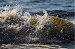 Water splash from wave in the sea