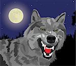 The image of the growling wolf on a background of the full moon