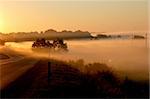 fog over countryside road