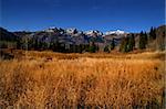 High Mountain Flat in the fall showing all the fall colors with mountains in the background