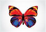 Illustration vectorielle - beau papillon lumineux multicolore