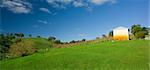 Scenic Rural Landscape in the Adelaide Hills