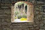 Peeking through the garden wall at the Austin Wildflower Center.