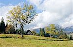 Autumn mountainous green glade with small country estate.