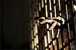 Human hand through a prison cell in the conclusion