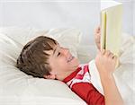 Boy Reading a Bedtime Story