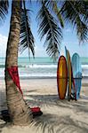 surfboards under a plam tree on kuta beach bai indonesia with surfers in background