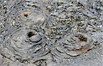 Lava formations on the galapagos islands of ecuador