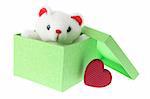 Teddy Bear in Gift Box on White Background