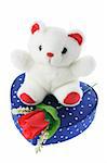 Teddy Bear on Gift Box on White Background