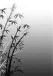 Silhouette of branches of a bamboo on a grey background
