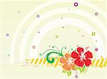 hibiscus flower and bubbles, wallpaper