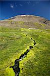 Beautiful mountain spring and wilderness