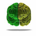 dramatical render of a human brain in green with clipping path
