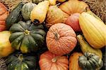 Display of fall pumpkins and gourds at market.