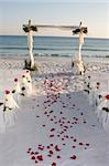 Rose pedals line the bridal path leading to the wedding arch on the beach.