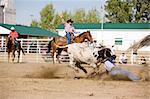 Steer wrestling at a local small town rodeo