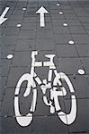 a bike sign in the asphalt