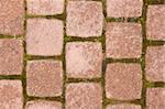 Squared pavement tiles with moss in between.