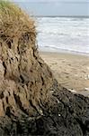 Close-up on the Atlantic coast seashore, Gironde, France