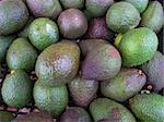 Bulk bin of fresh avacados