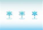 Set of 3 different snowflakes icon designs with reflections.