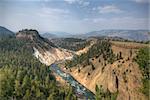 Grand Canyon of Yellowstone. HDR photo