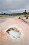 Artist Paint Pots. Yellowstone National Park