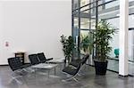 Lobby of a modern office building with chairs of black leather, tables of glass and plants