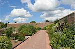 Walled red brick garden in summer with a variety of flowers, shrubs and a path, with a blue sky and cumulus clouds to the rear.