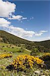 Beautiful landscape in the mountains with blue summer sky and white clouds