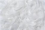 White feathers background.