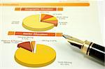 Close up of pie chart with fountain pen